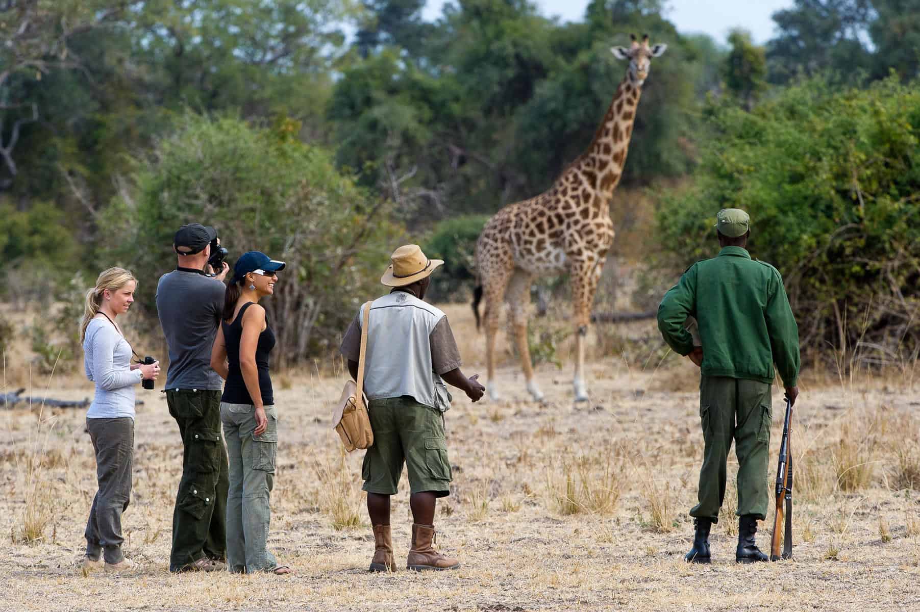 walking safari