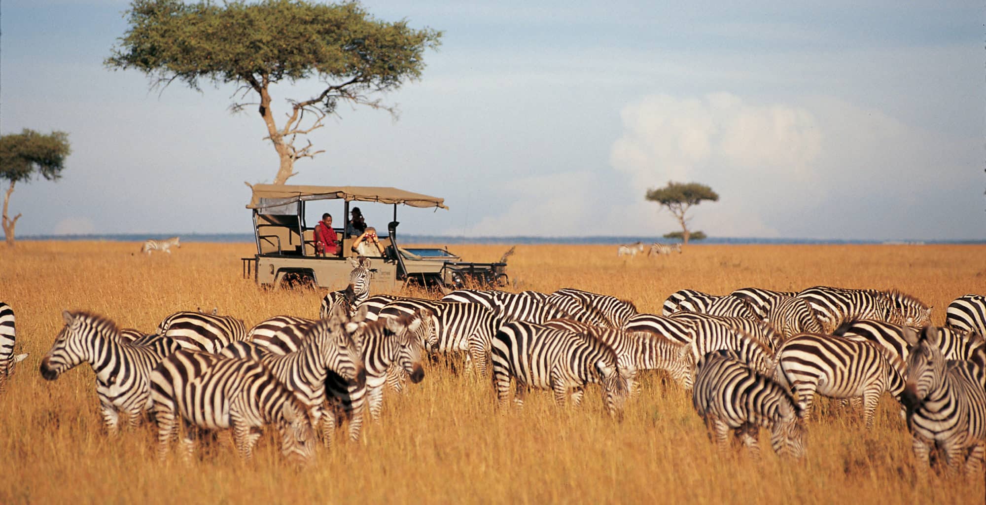 4-Day Samburu Special Five Safari: