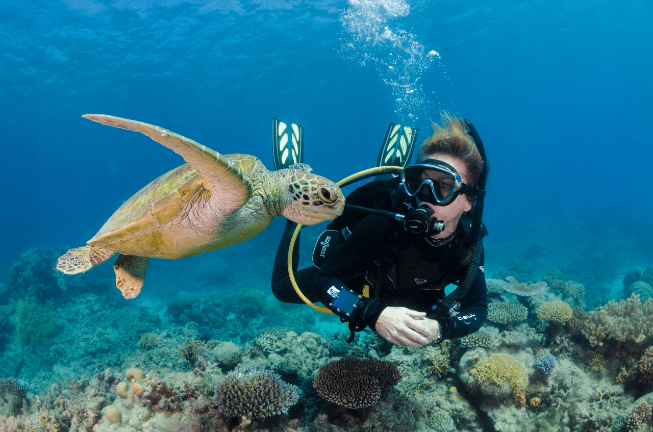 Snorkeller over coral reef in Mombasa Marine Park, Kenya