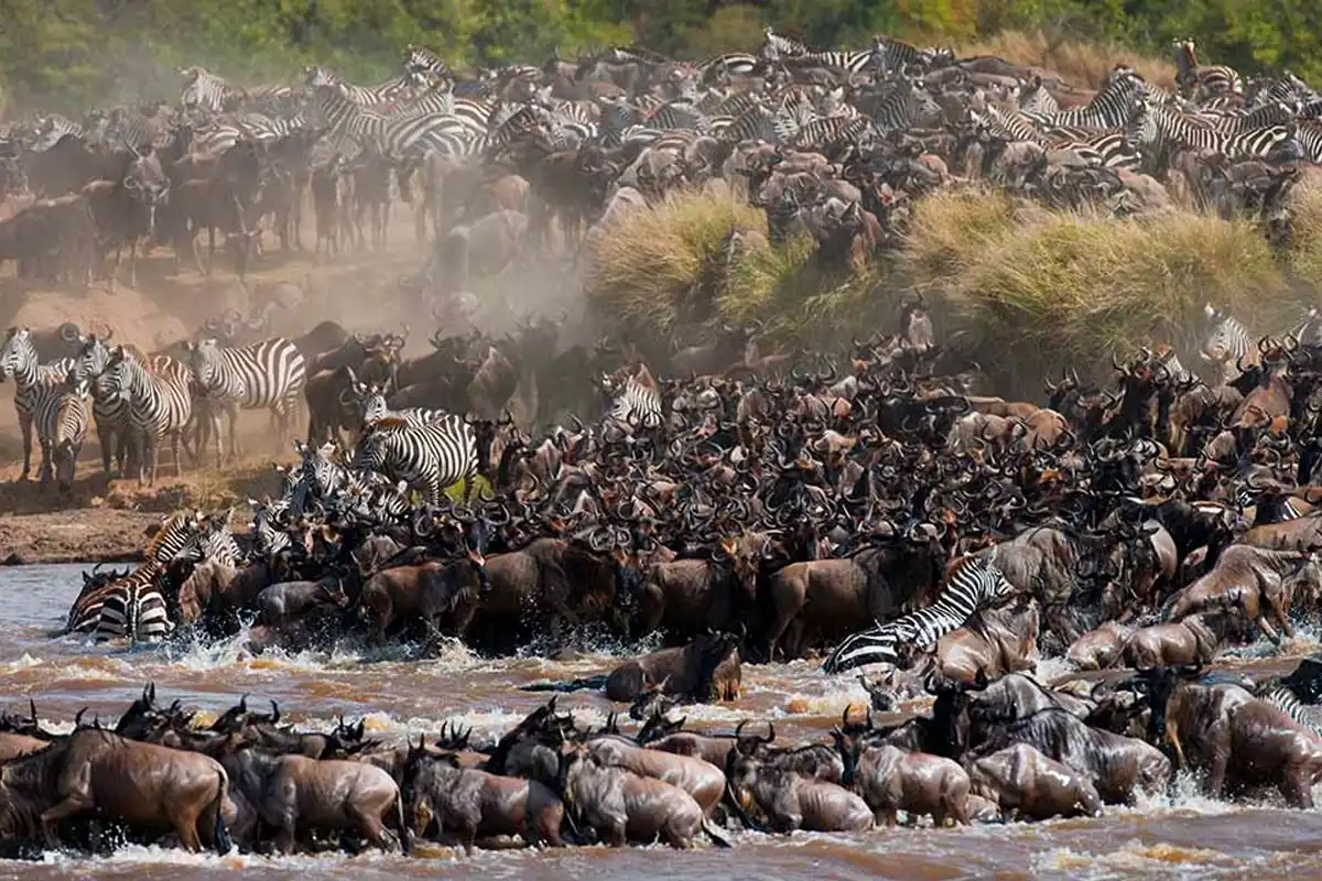 12-Day Migration Safari & Zanzibar: