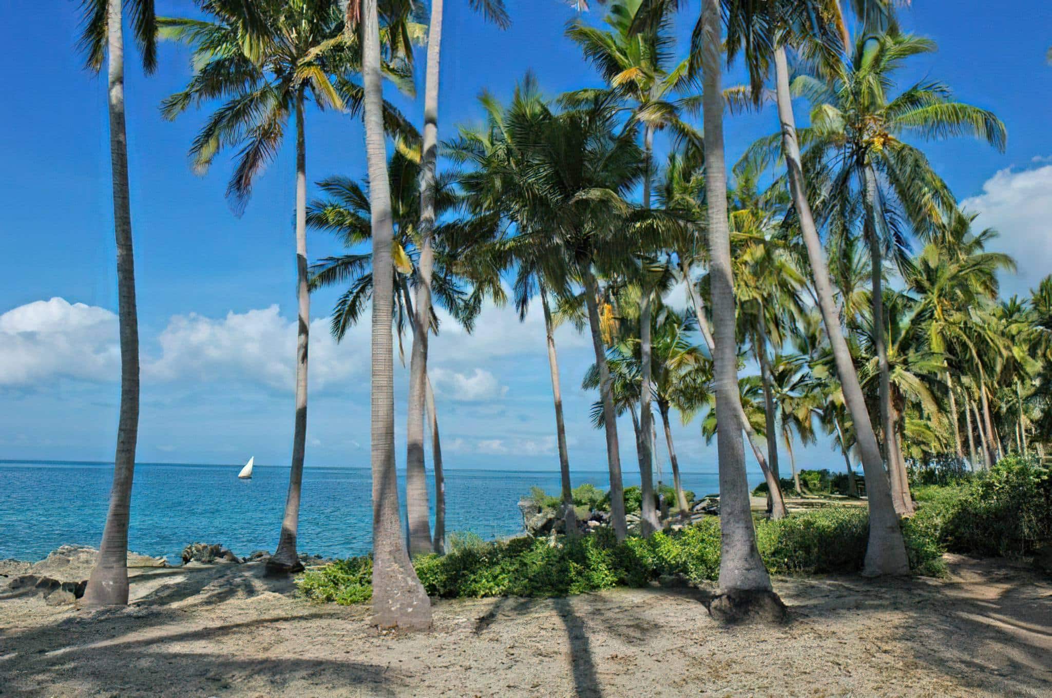 Jibondo Island Excursion