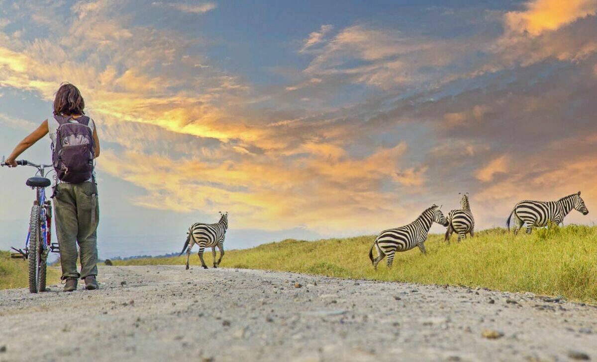 14-Day Kenya Grand Expedition: