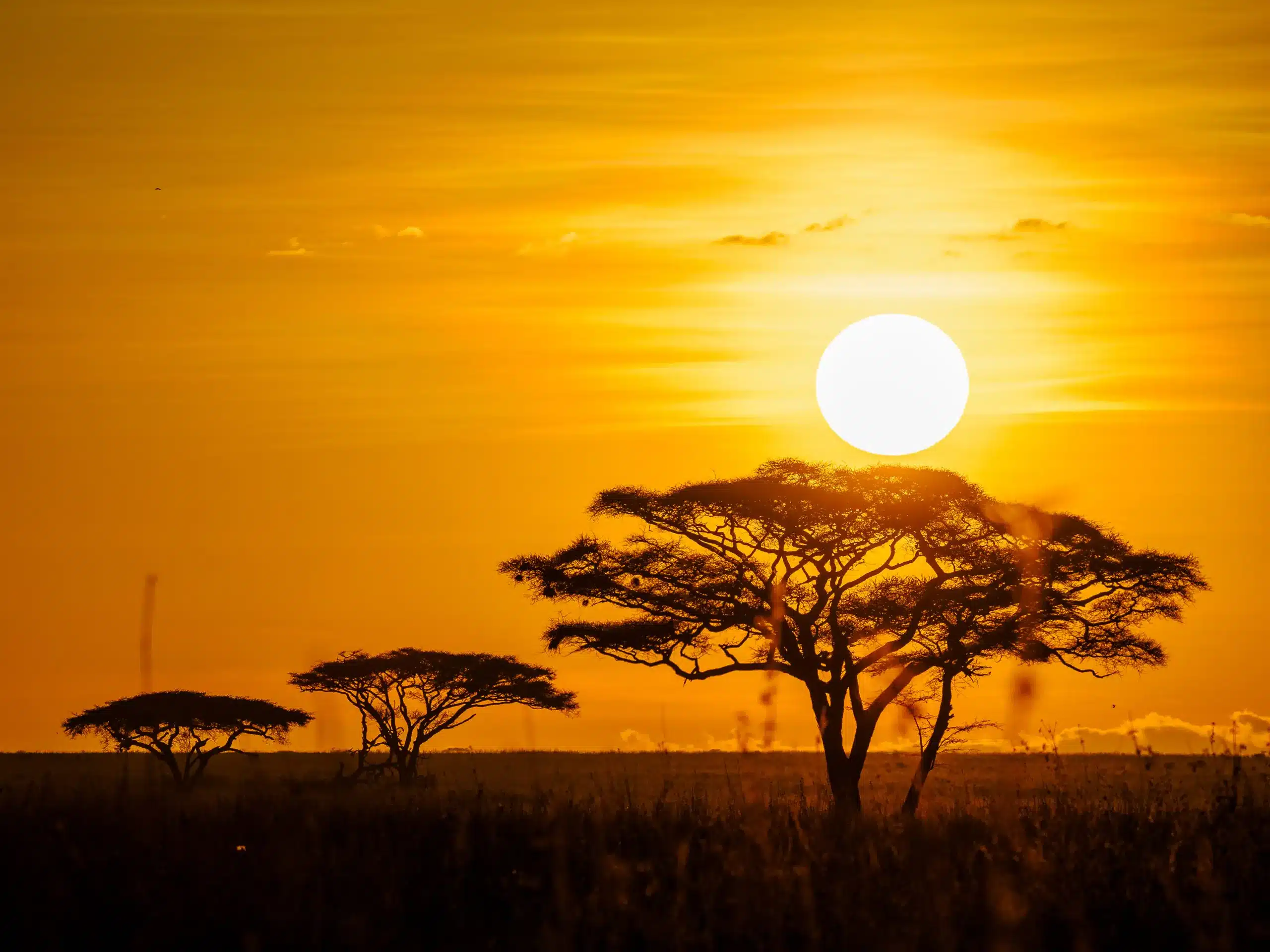12-Day Ultimate Kenya Safari: