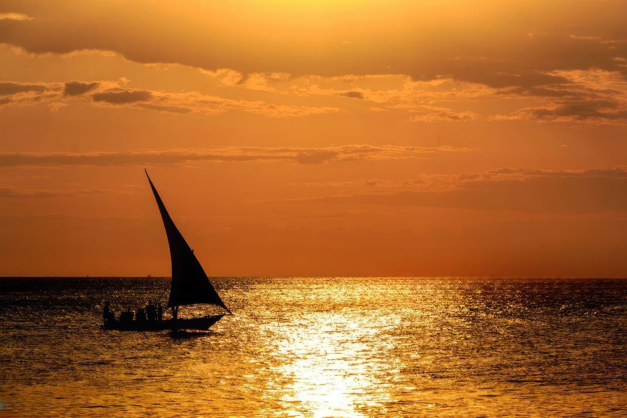 8-Day Tanzania Safari & Mafia Island: