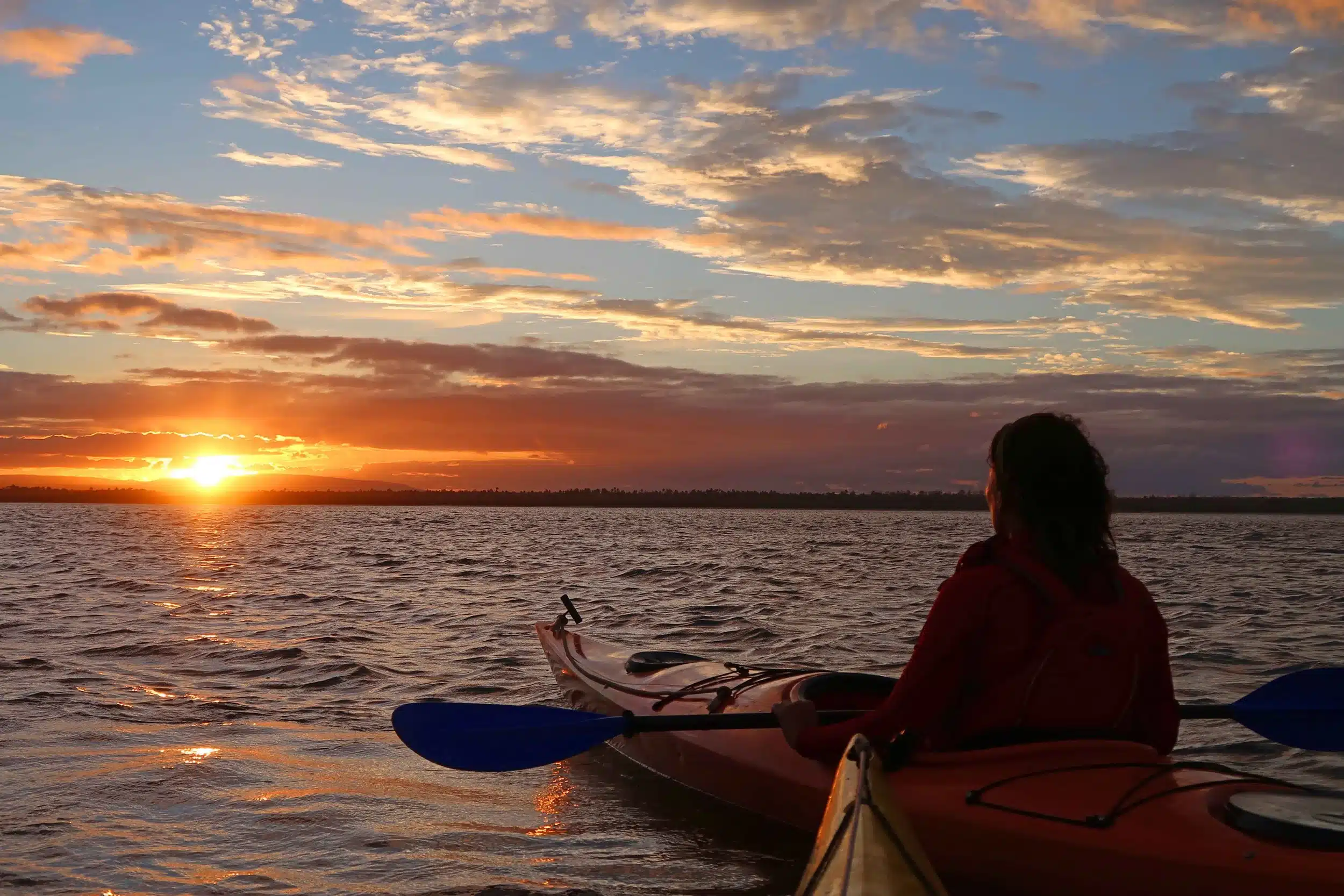 Mida Creek Kayaking and Birding