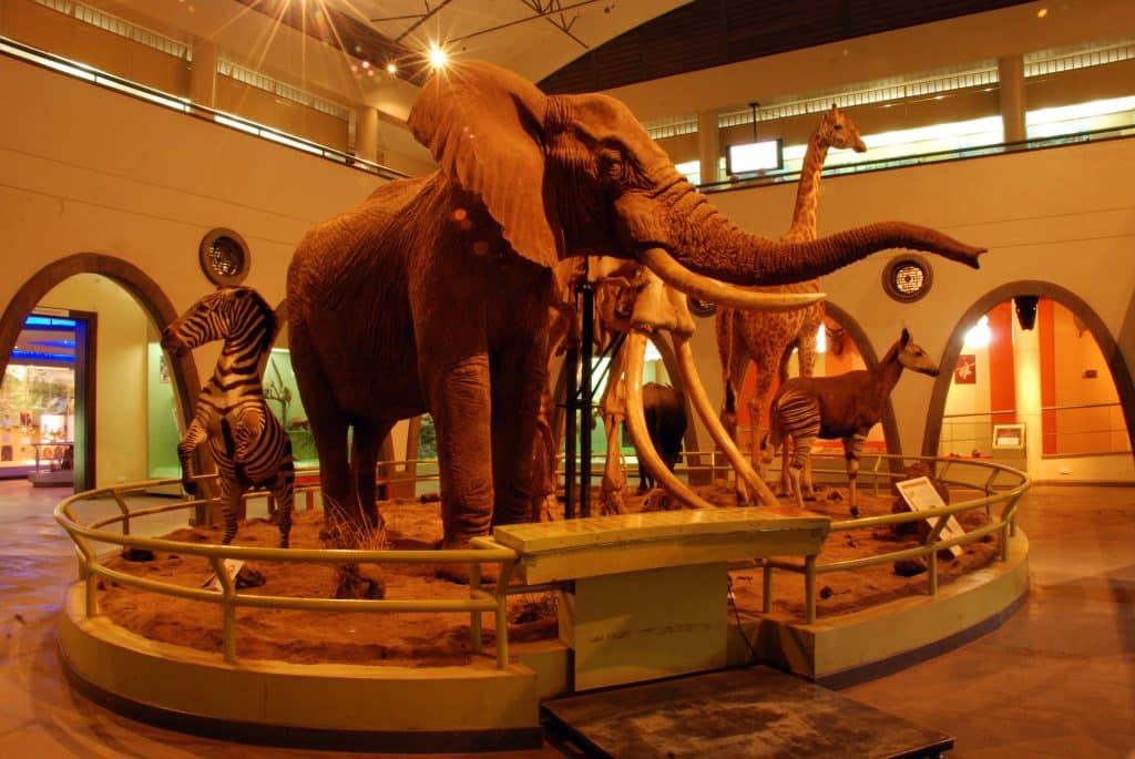 Nairobi National Museum