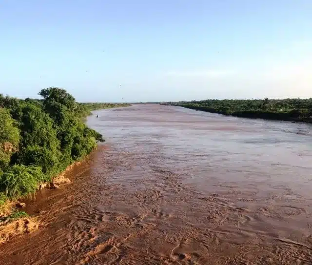 Sabaki River Mouth Birding
