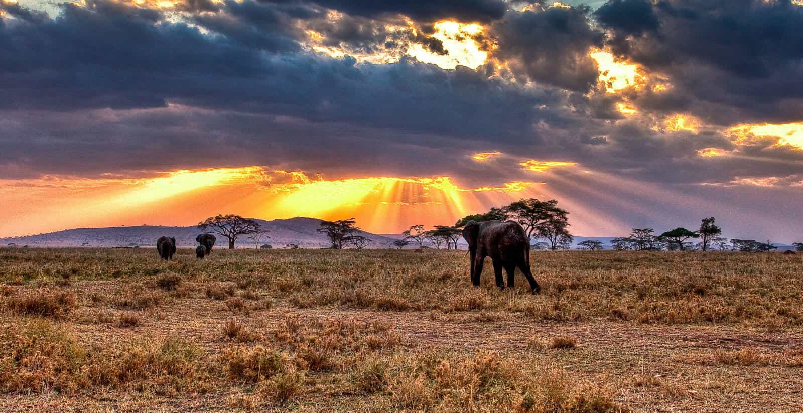 6-Day Serengeti & Ngorongoro Focus: