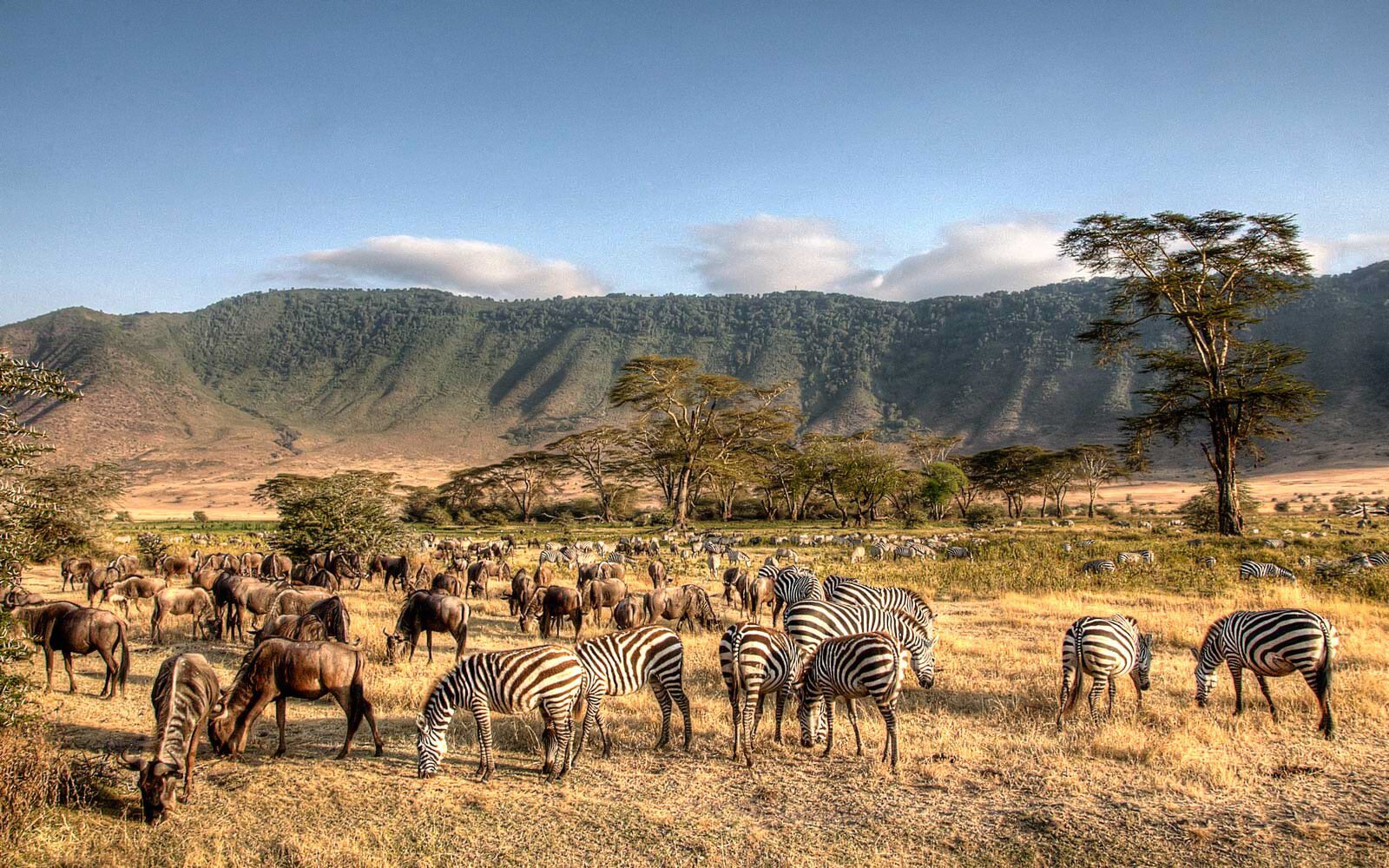 Serengeti and Ngorongoro 5 day itinerary