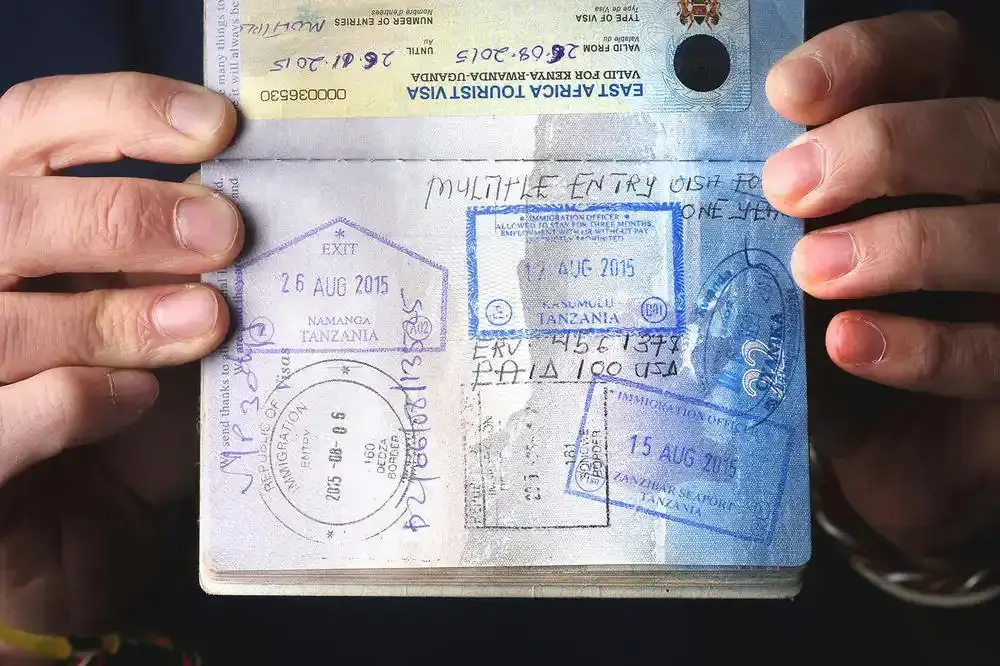 Where Is the Serengeti? Geography, Location and How to Get There 3 Tanzania Visa Requirements for Tourists