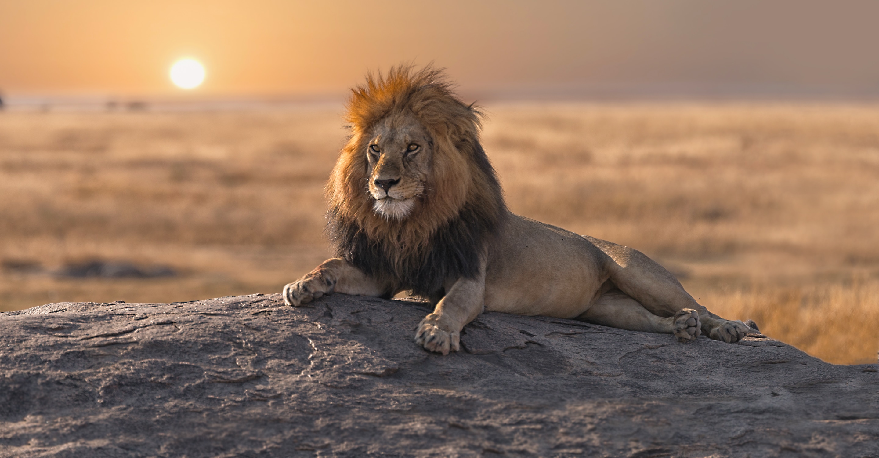 18-Day East Africa Ultimate Safari & Beach: