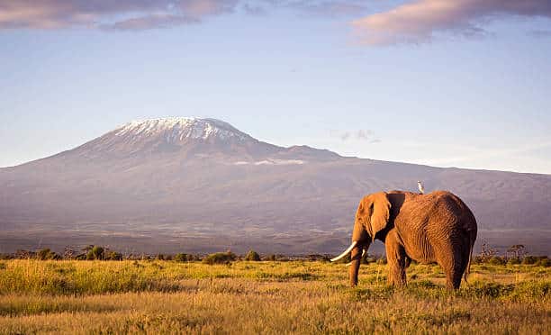 7-Day Kenya Highlights with Amboseli: