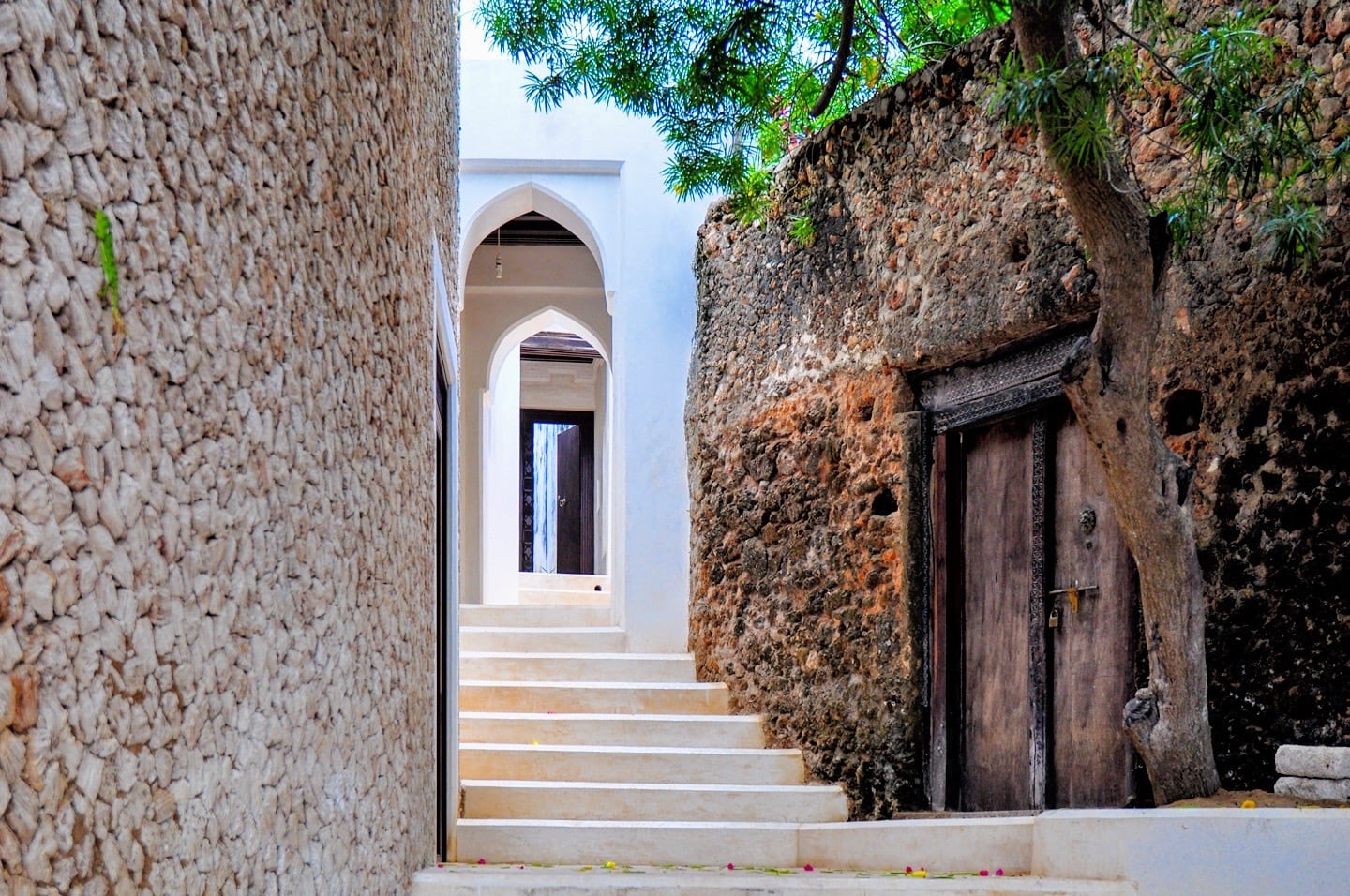 Traditional Swahili houses along the waterfront in Shela Village, Lamu