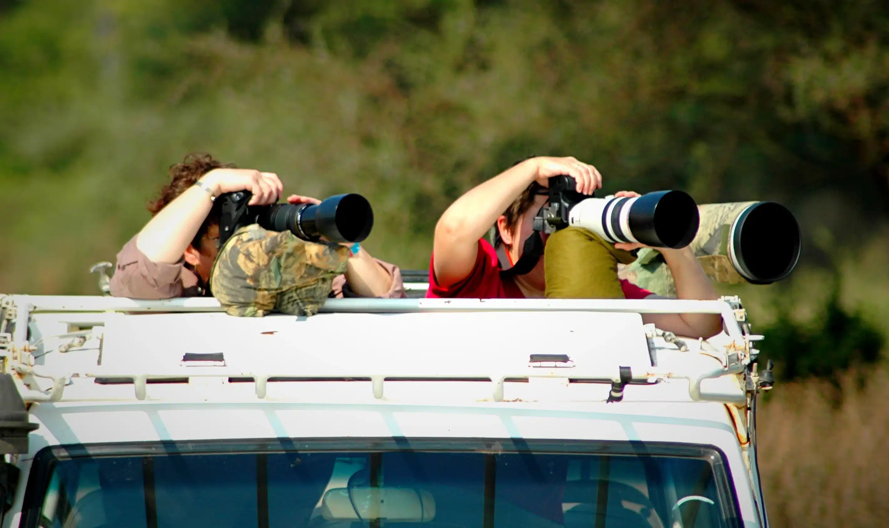 Serengeti Photography Tips: Getting the Perfect Wildlife Shot 3 two people with cameras on top of vehicle 2026 03 09 23 10 57 utc e1784998666625