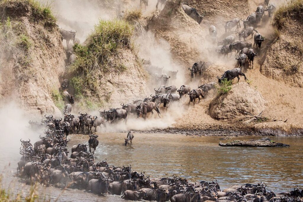 Serengeti  in July