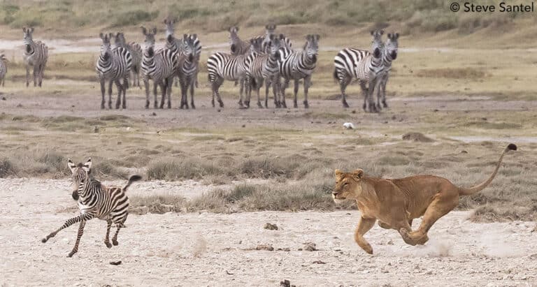 Serengeti in October: Short Rains and Fewer Crowds