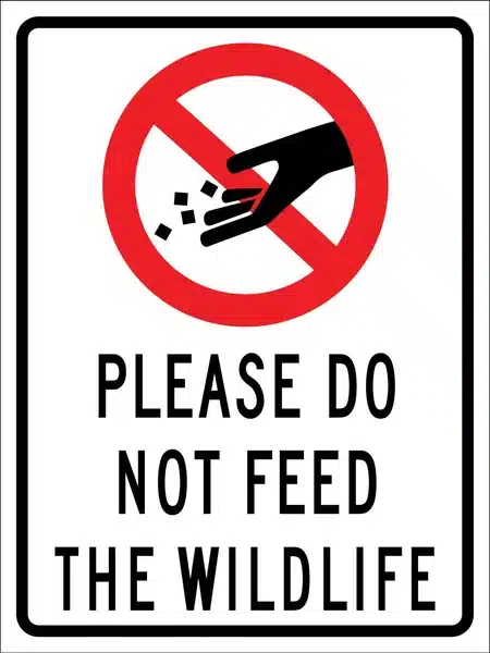 Serengeti Park Regulations Every Visitor Must Know