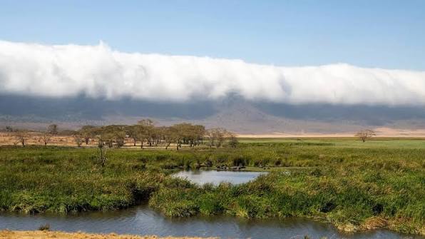 Ngorongoro Crater in May: The Quiet Season Guide 12 Ngorongoro Crater in May
