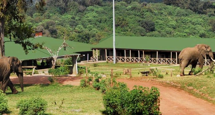 Ngorongoro-Rhino-Lodge-
