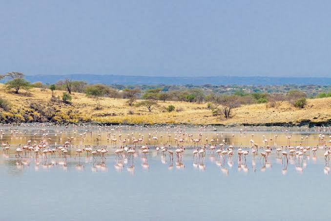 Ngorongoro Crater in July: Peak Season Guide 4 images 9