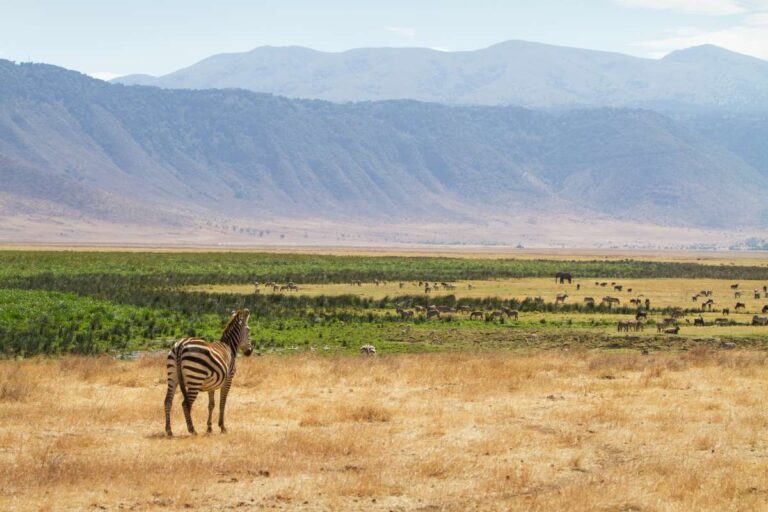 Ngorongoro Crater in July: Peak Season Guide